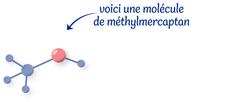 molécule de méthylmercaptan par Quad-lab