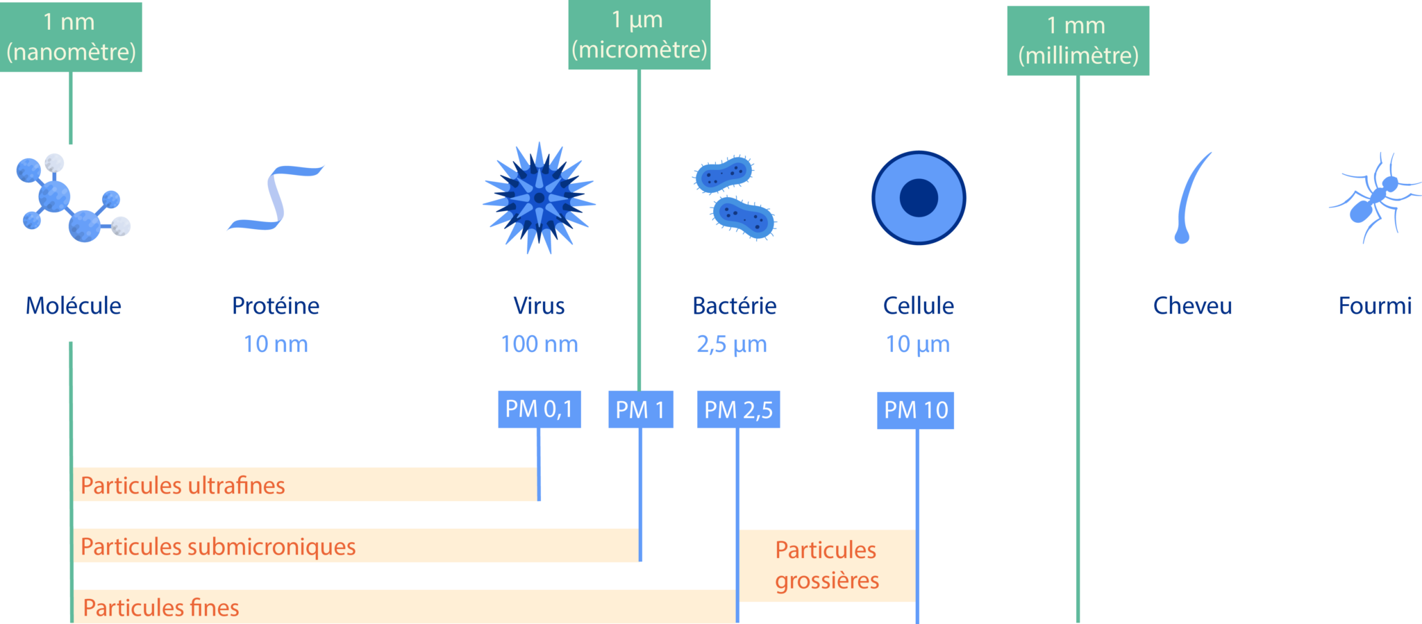 Partuiules Particules fines (PM2.5, PM10) : dangers et mesures - Quad-lab